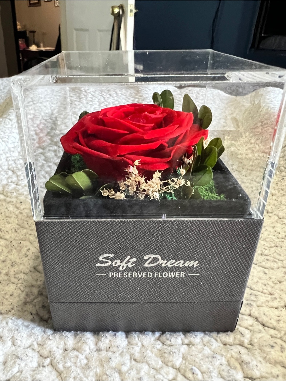 Soft Dream Preserved Red Rose in Display Box
